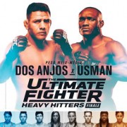 The Ultimate Fighter 28 Finale